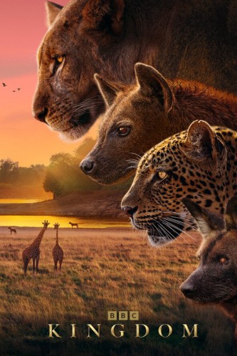 Царство животных 1 сезон [Смотреть Онлайн]